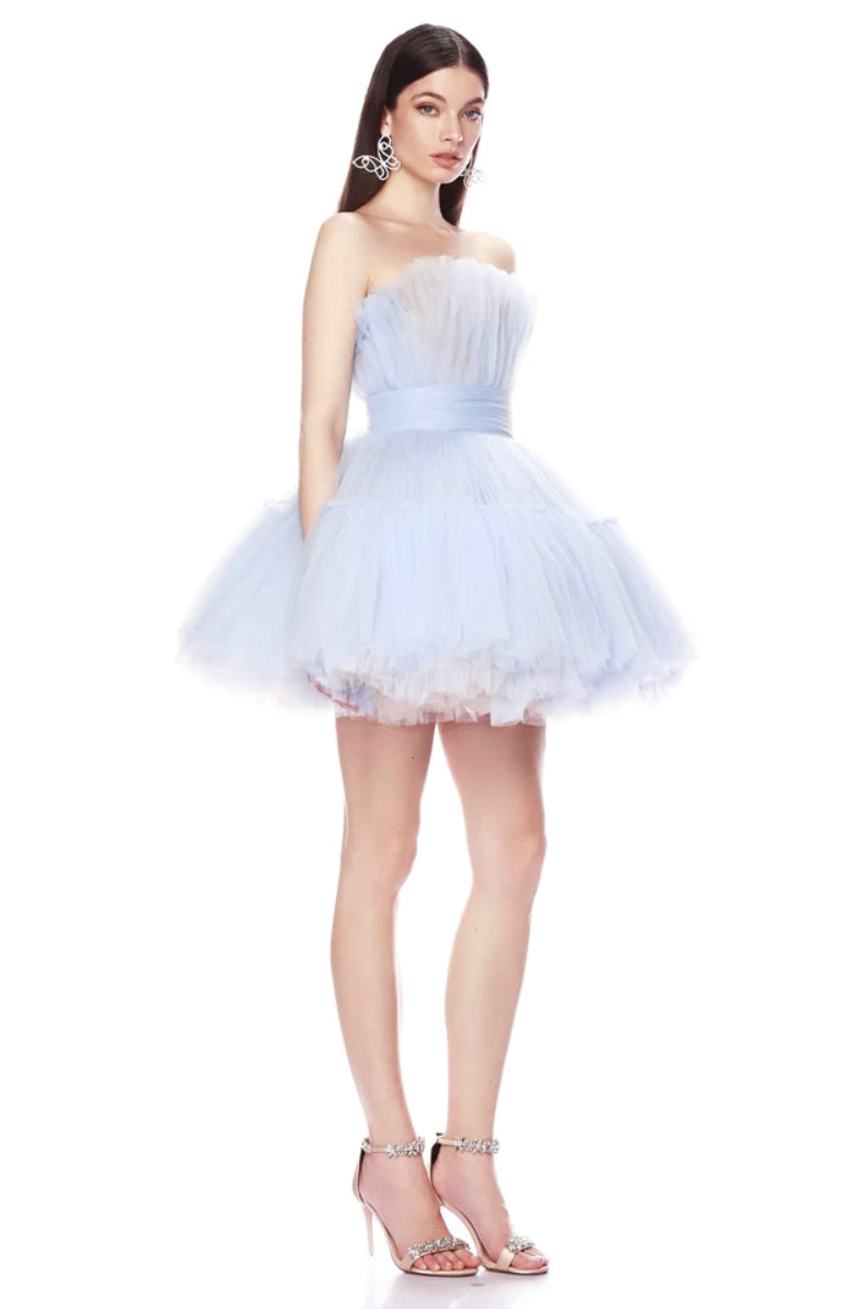 ANNA TULIP MINI DRESS