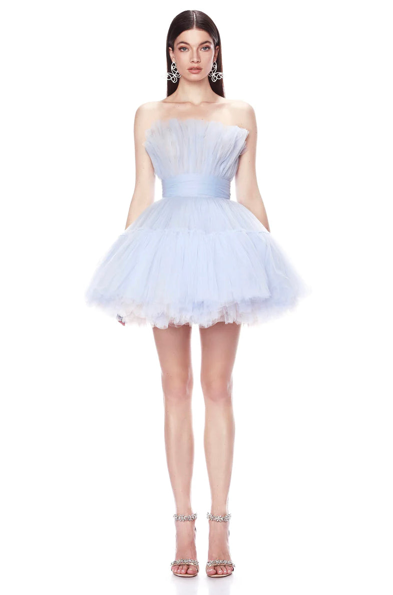 ANNA TULIP MINI DRESS